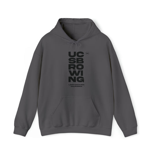 UCSB Stacked Hoodie